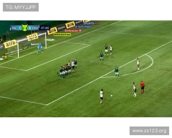 胡尔克远程任意球震撼巴西赛场